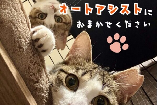 パワーアップ！